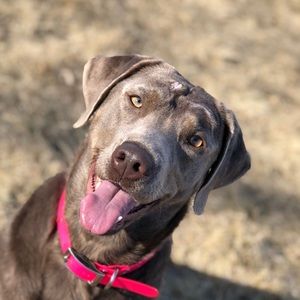 Meet your Posher, Ashlyn